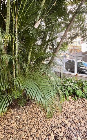 Apartamento à venda com 90m², 2 quartos e 2 vagas