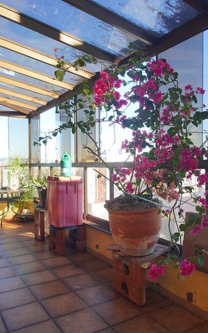 Apartamento para alugar com 246m², 2 quartos e 1 vagavaranda do quarto
