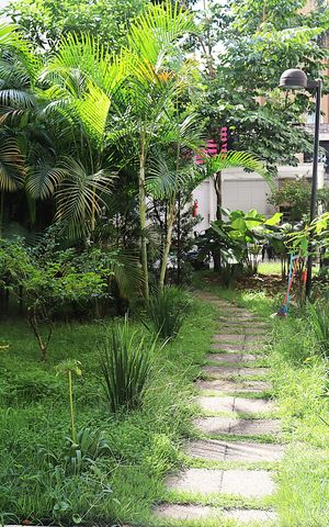 Apartamento à venda com 54m², 2 quartos e 1 vagaÁrea Comum
