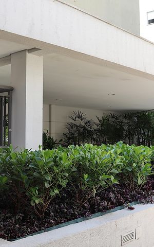 Apartamento à venda com 54m², 2 quartos e 1 vagaÁrea Comum