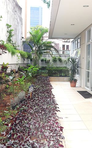 Apartamento à venda com 54m², 2 quartos e 1 vagaÁrea Comum