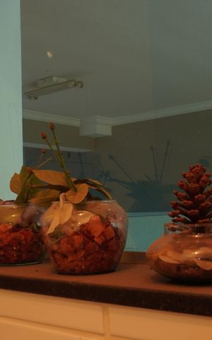 Casa para alugar com 232m², 4 quartos e 10 vagasBanheiro Social