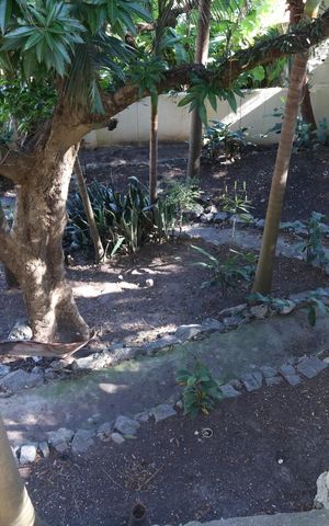 Casa à venda com 218m², 3 quartos e 2 vagasQuintal