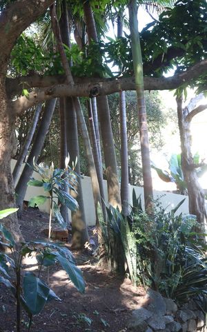 Casa à venda com 218m², 3 quartos e 2 vagasQuintal