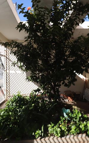 Casa para alugar com 168m², 2 quartos e 1 vagaGaragem