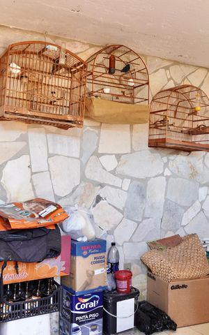 Casa à venda com 313m², 5 quartos e 3 vagas Casa à venda com 313m², 5 quartos e 3 vagasQuarto 5