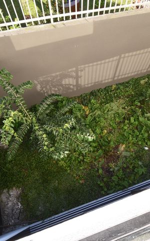 Casa de condomínio à venda com 126m², 2 quartos e 2 vagasVista do Quarto 2