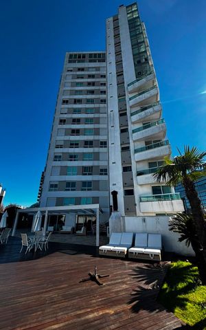 Apartamento para alugar com 46m², 1 quarto e 1 vaga