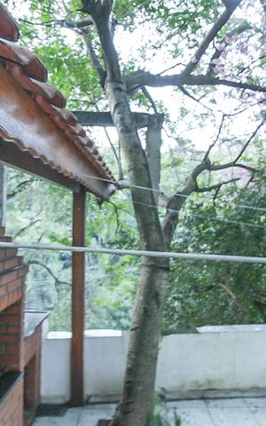 Casa para alugar com 65m², 2 quartos e sem vaga Casa para alugar com 65m², 2 quartos e sem vagaVista do Quarto 1