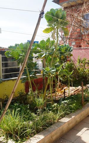 Casa para alugar com 350m², 4 quartos e 4 vagasÁrea Externa