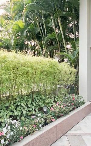 Apartamento para alugar com 260m², 4 quartos e 3 vagasÁrea comum