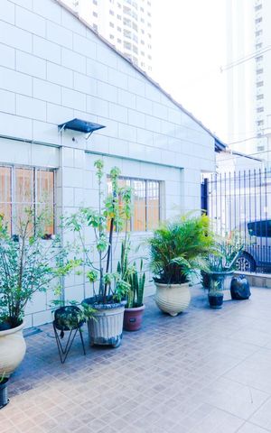 Casa para alugar com 245m², 4 quartos e 2 vagasQuintal