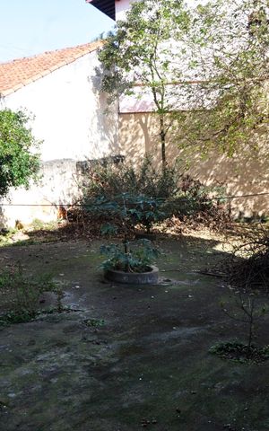 Casa à venda com 380m², 2 quartos e 1 vaga Casa à venda com 380m², 2 quartos e 1 vagaQuintal