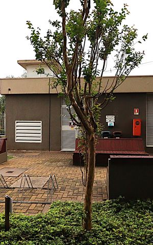 Apartamento à venda com 75m², 3 quartos e 1 vagaVista do Quarto 2