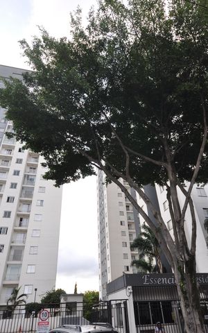 Apartamento à venda com 49m², 2 quartos e 1 vagaFachada