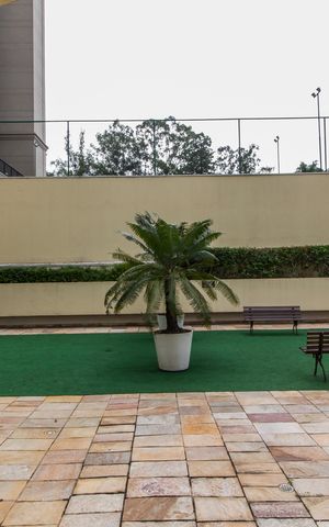 Apartamento para alugar com 111m², 3 quartos e 2 vagasÁrea comum