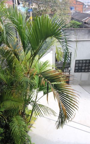 Apartamento à venda com 30m², 1 quarto e sem vagaárea comum