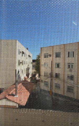 Apartamento à venda com 104m², 3 quartos e 1 vaga Apartamento à venda com 104m², 3 quartos e 1 vagaSala - Vista