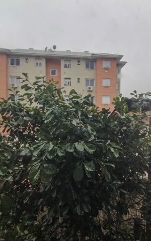 Apartamento à venda com 47m², 2 quartos e 1 vaga Apartamento à venda com 47m², 2 quartos e 1 vagaVista