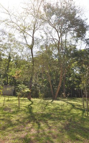 Apartamento à venda com 42m², 2 quartos e 1 vagaÁrea verde