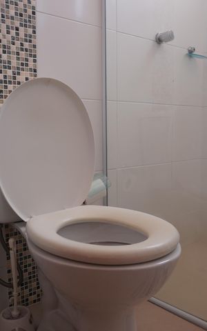 Apartamento para alugar com 58m², 2 quartos e 2 vagasBanheiro
