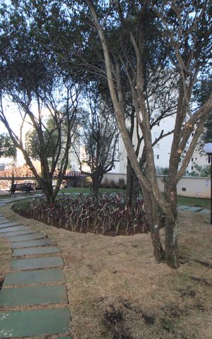 Apartamento à venda com 52m², 2 quartos e 1 vagaÁrea Comum