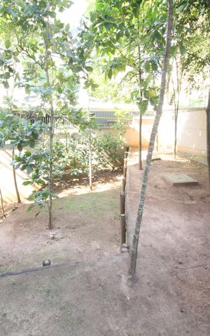Apartamento para alugar com 49m², 2 quartos e 1 vagaEspaço Pet