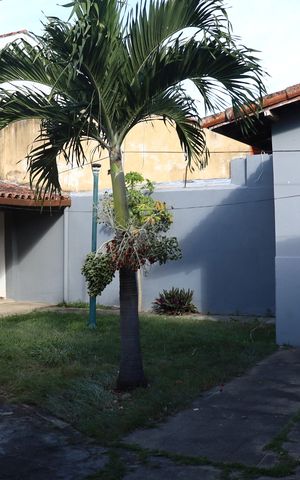 Casa para alugar com 479m², 4 quartos e 4 vagas Casa para alugar com 479m², 4 quartos e 4 vagasÁrea externa