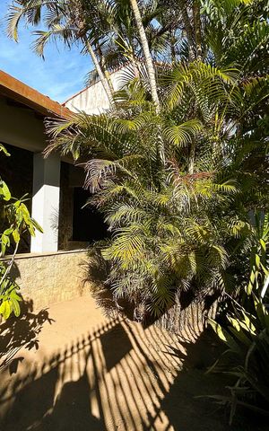Casa para alugar com 479m², 4 quartos e 4 vagas Casa para alugar com 479m², 4 quartos e 4 vagasÁrea externa
