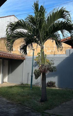 Casa para alugar com 479m², 4 quartos e 4 vagas Casa para alugar com 479m², 4 quartos e 4 vagasÁrea externa