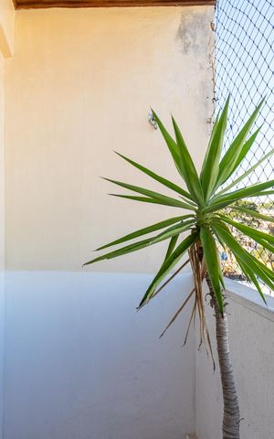 Apartamento para alugar com 50m², 2 quartos e 1 vaga Apartamento para alugar com 50m², 2 quartos e 1 vagaSacada