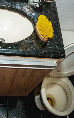 Apartamento para alugar com 47m², 2 quartos e 1 vagaBanheiro Social