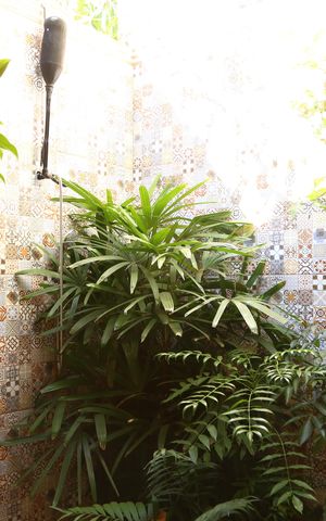 Casa à venda com 360m², 4 quartos e 4 vagasVista da Área de serviço
