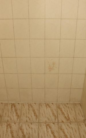 Casa para alugar com 152m², 3 quartos e 1 vagaBanheiro social