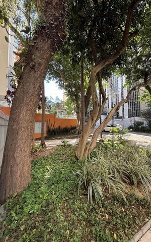 Apartamento à venda com 228m², 4 quartos e 2 vagas