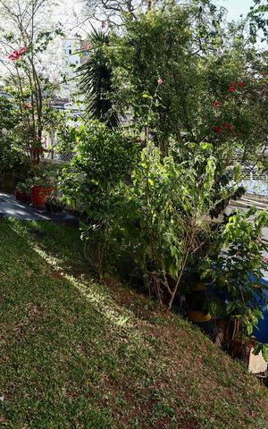 Casa à venda com 219m², 3 quartos e 2 vagasGaragem
