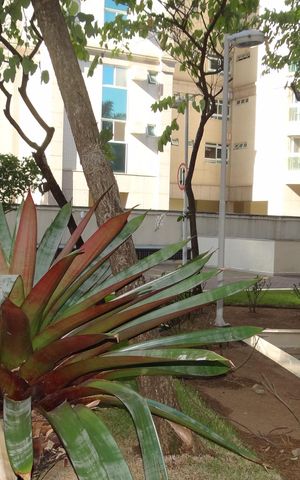 Apartamento para alugar com 256m², 3 quartos e 3 vagasÁrea externa