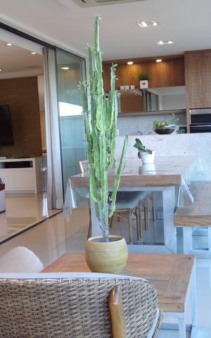 Apartamento para alugar com 256m², 3 quartos e 3 vagasVaranda gourmet
