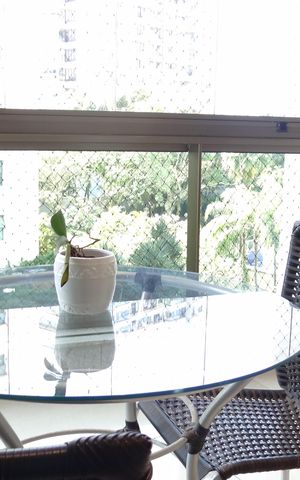 Apartamento para alugar com 256m², 3 quartos e 3 vagasvaranda