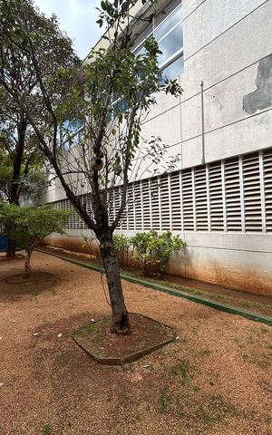 Apartamento à venda com 151m², 4 quartos e 3 vagasEspaço pet