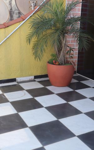 Casa para alugar com 210m², 3 quartos e 2 vagasTerraço