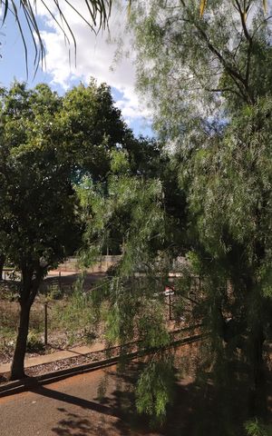 Casa para alugar com 140m², 3 quartos e 2 vagasVista da área de serviço