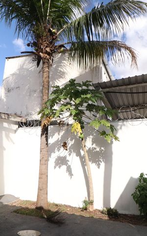 Casa para alugar com 140m², 3 quartos e 2 vagasQuintal / Jardim