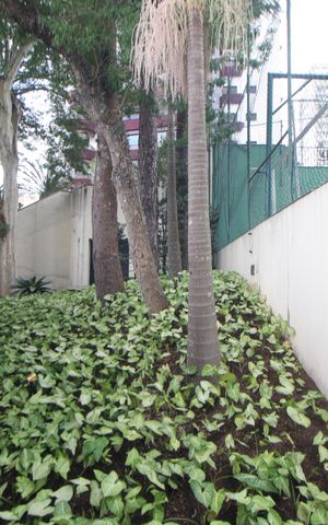 Apartamento à venda com 222m², 4 quartos e 4 vagasÁrea Comum