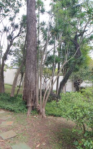 Apartamento à venda com 222m², 4 quartos e 4 vagasÁrea Comum