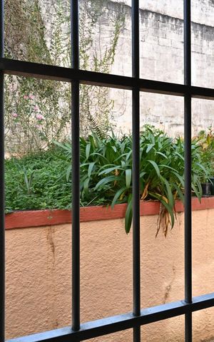 Apartamento à venda com 54m², 2 quartos e 1 vagaVista