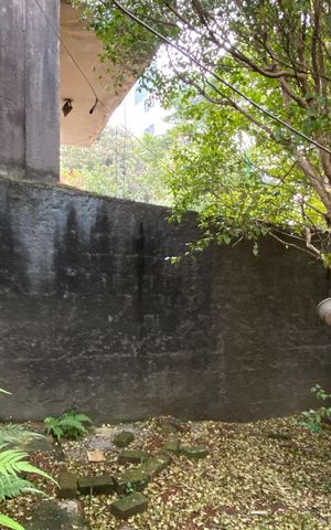 Casa para alugar com 573m², 2 quartos e 2 vagas Casa para alugar com 573m², 2 quartos e 2 vagasÁrea externa - Jardim