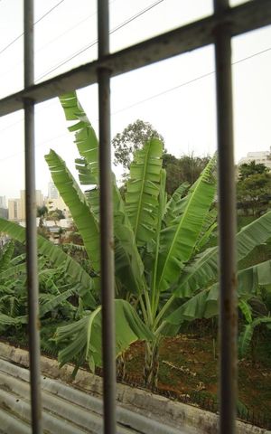 Casa à venda com 222m², 3 quartos e 2 vagasVista do quarto 2