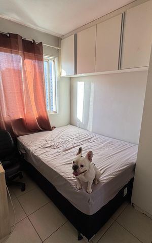 Apartamento à venda com 42m², 1 quarto e sem vaga Apartamento à venda com 42m², 1 quarto e sem vagaSuíte
