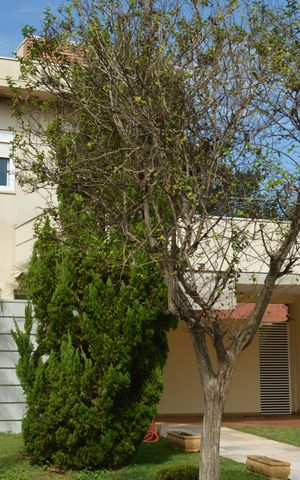 Casa de condomínio para alugar com 222m², 3 quartos e 4 vagasFachada